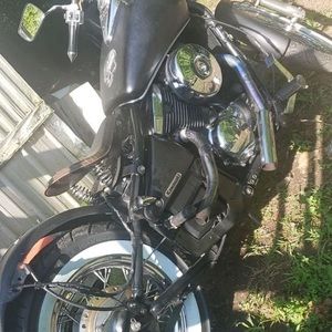 Meet your Posher, Brady